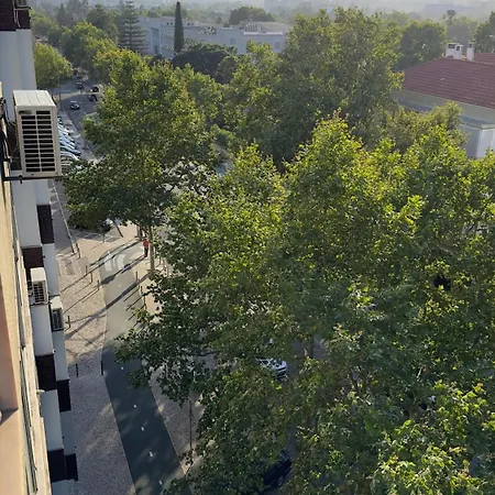 Alvalade Lisboa